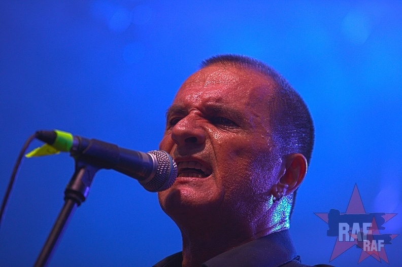 Rock im Vogelwald 2016