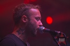 Rock im Vogelwald 2016