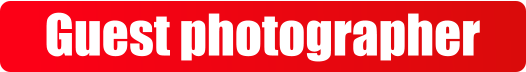 Guest photographer