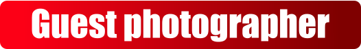 Guest photographer