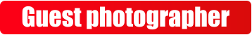 Guest photographer