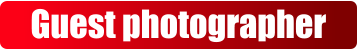 Guest photographer