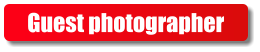 Guest photographer