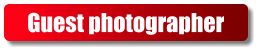 Guest photographer